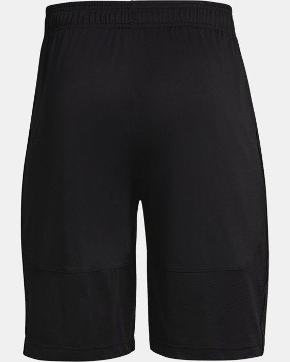 Herren UA Raid 2.0 Shorts, Black, pdpMainDesktop image number 5